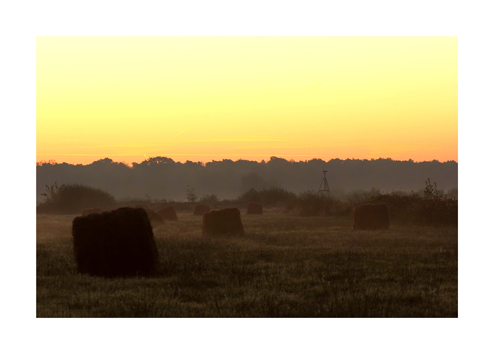 " Morgen über der Heide "