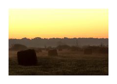 " Morgen über der Heide "