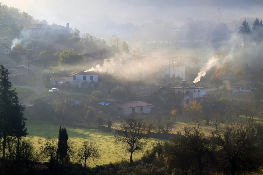 morgen und der nebel