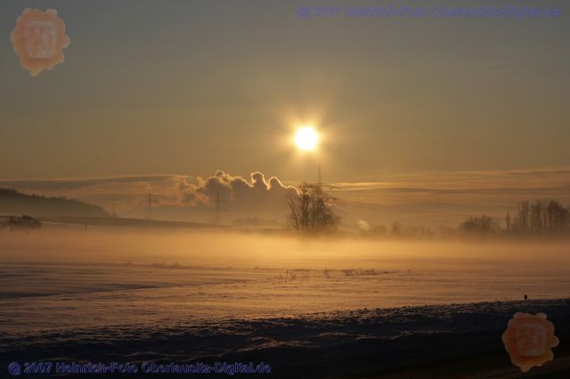 Morgen Winter Nebel