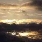 Morgen-Wolken