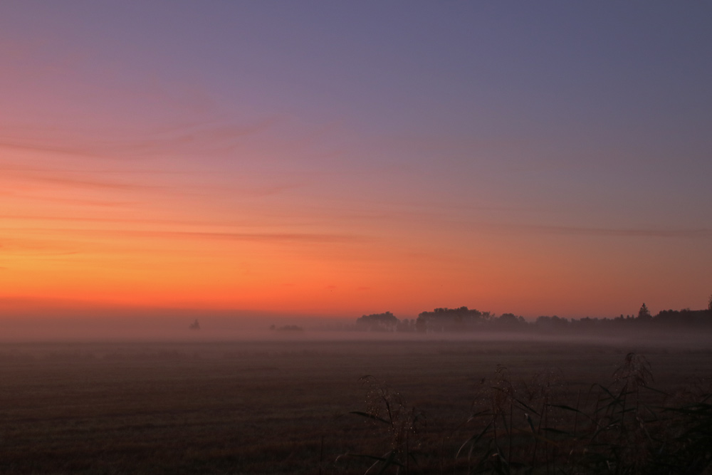 Morgenanbruch im Federseegebiet