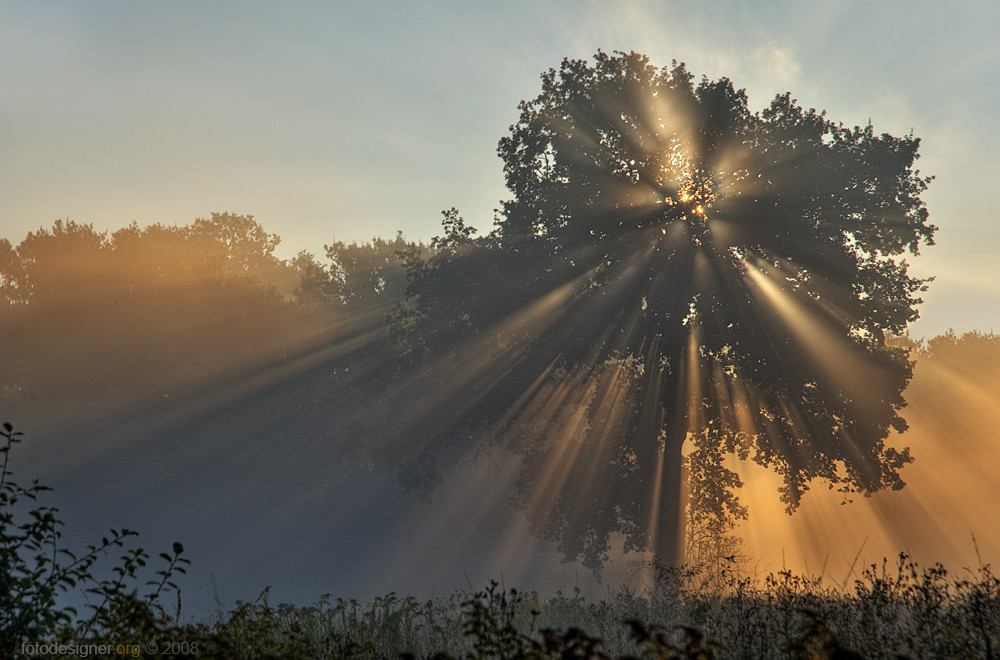 « Morgenandacht »