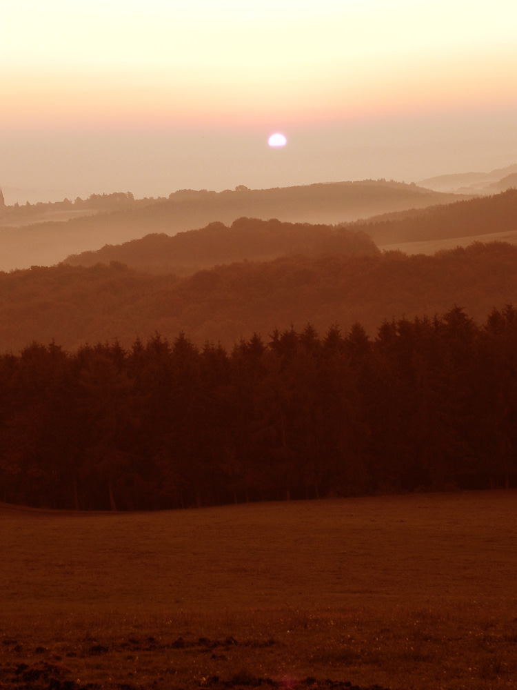 Morgenansitz bei der Hirschbrunft