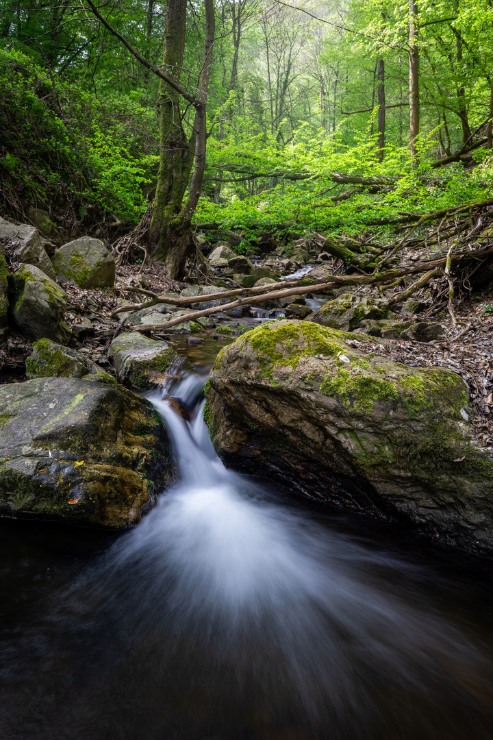 Morgenbachtal