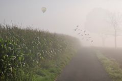 morgenballon