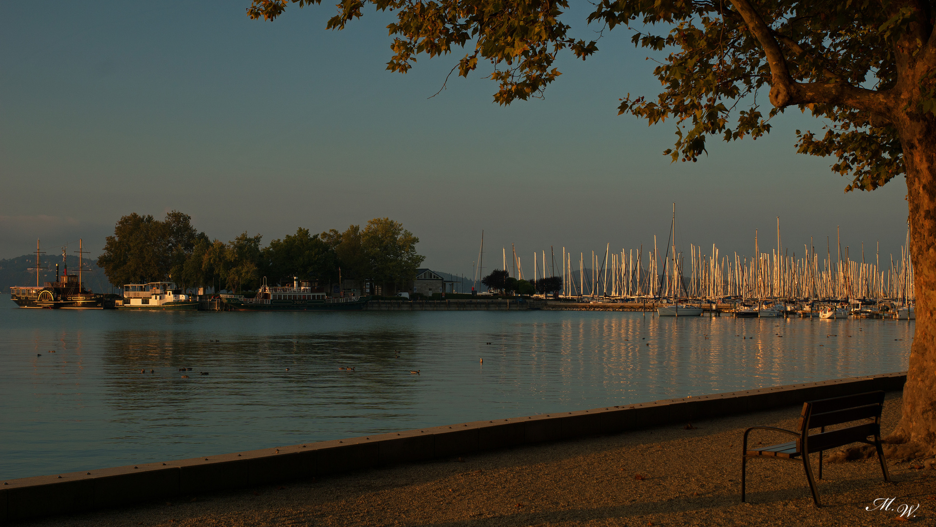 Morgenbank am Plattensee