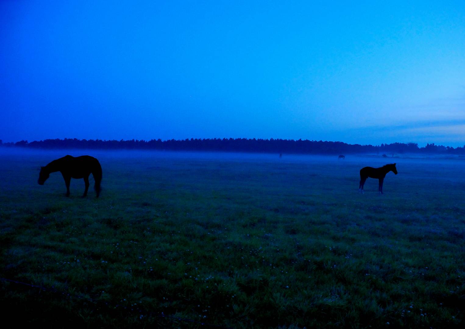 Morgenblau