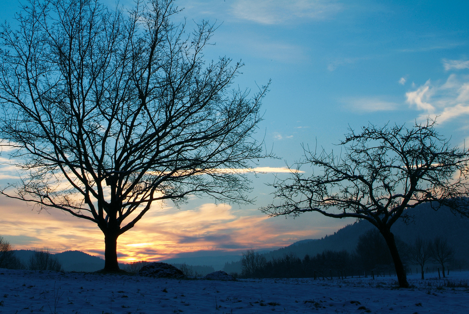 morgenblau