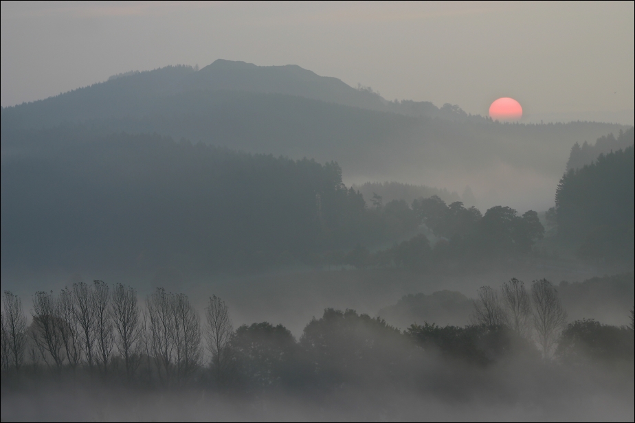 morgenblick