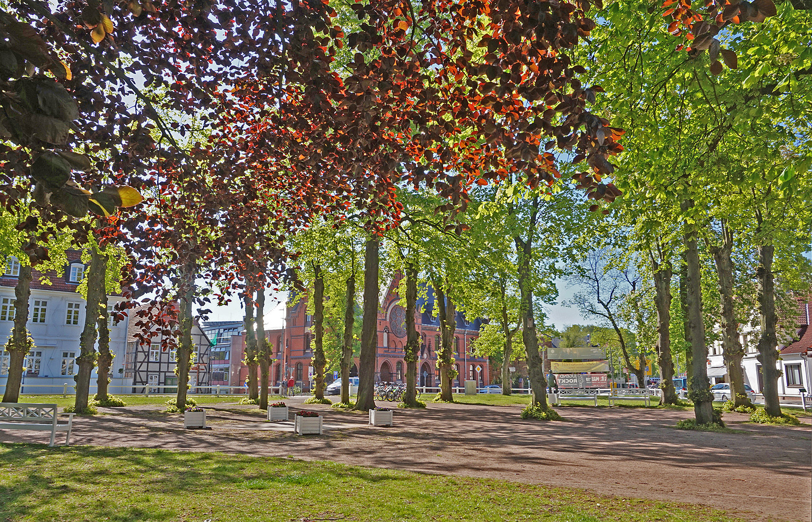 Morgenblick aufs Gymnasium