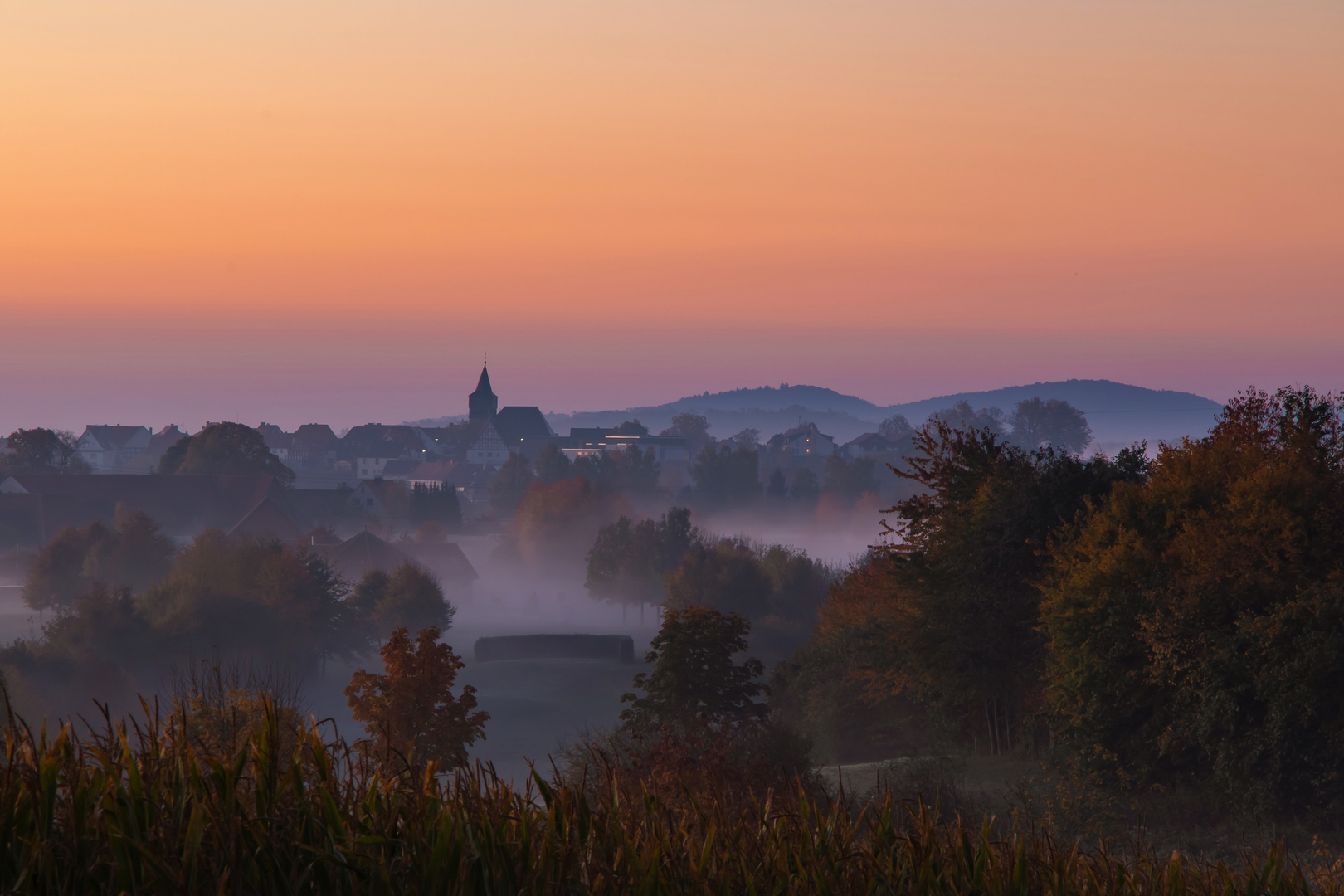 Morgenblick