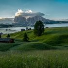 Morgenblick über die Alm