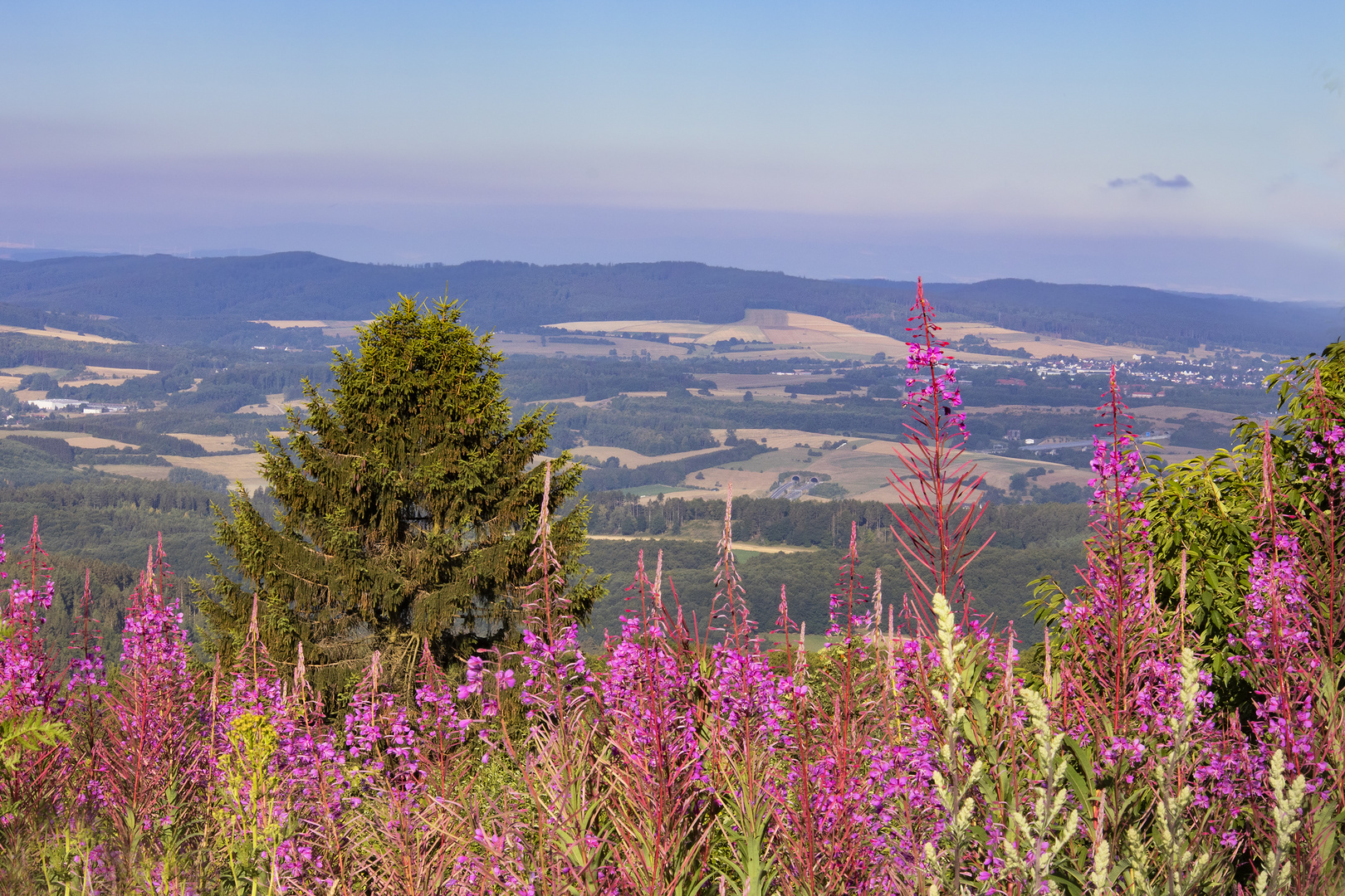 Morgenblick vom Hohen Meissner