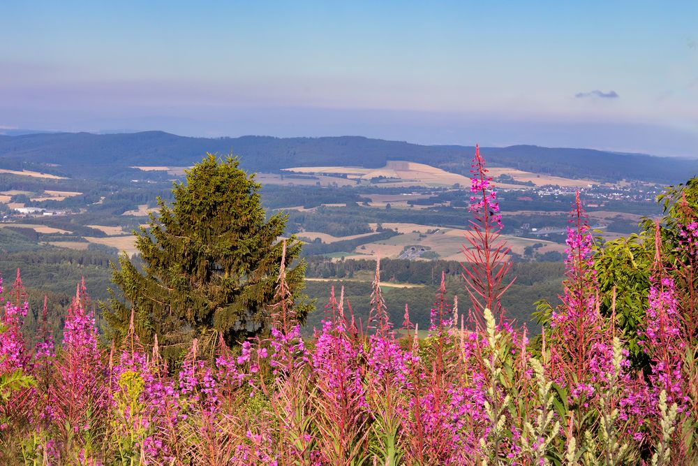 Morgenblick vom Hohen Meissner