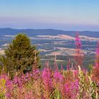 Morgenblick vom Hohen Meissner