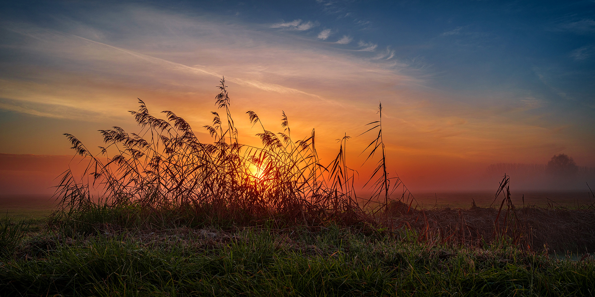 Morgenbunt