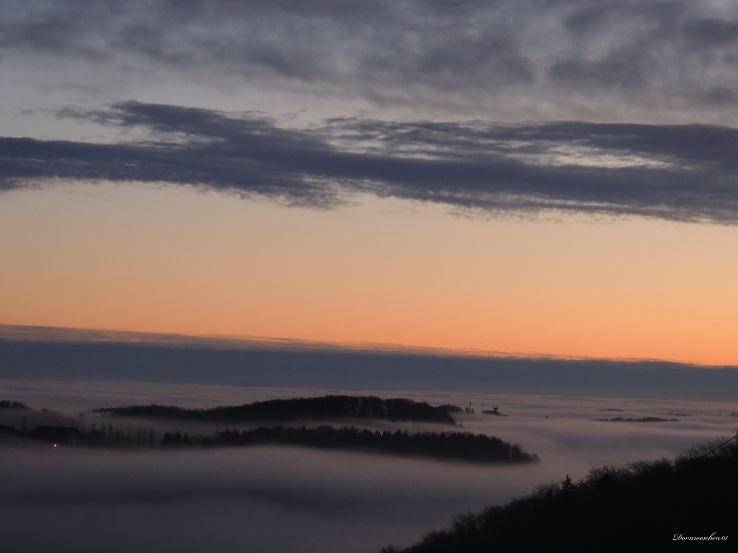 Morgendämmerung 