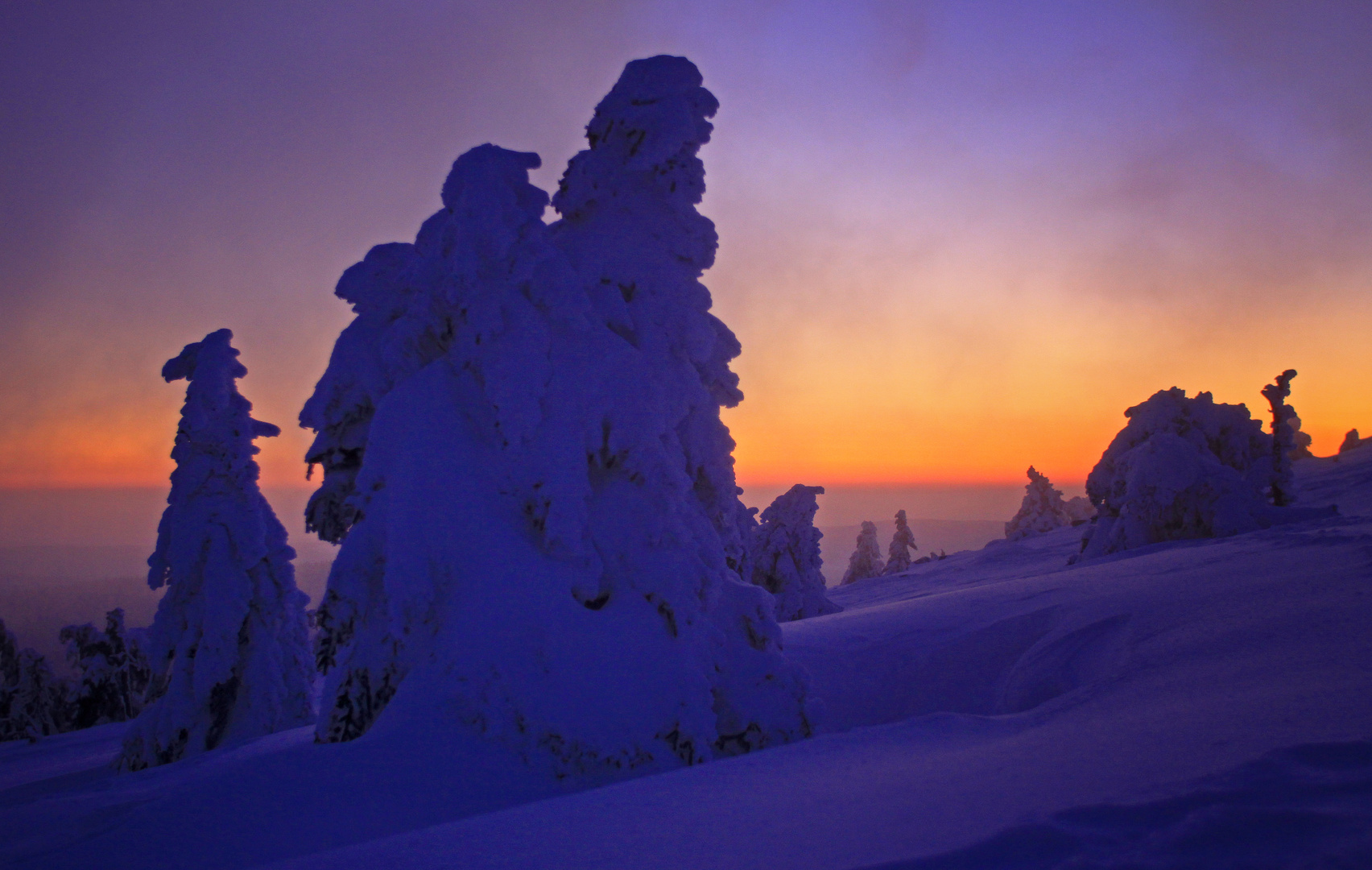 Morgendämmerung