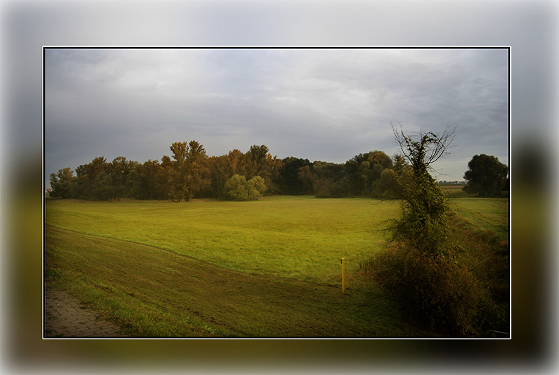 Morgendämmerung