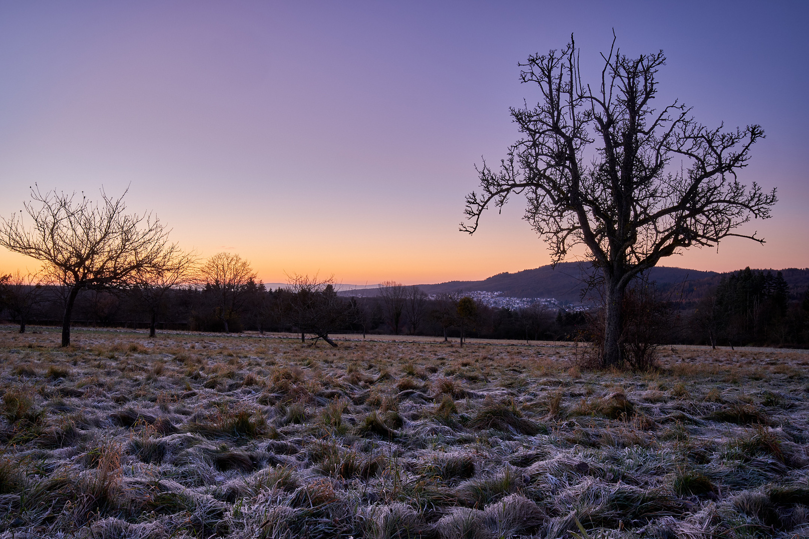 Morgendämmerung