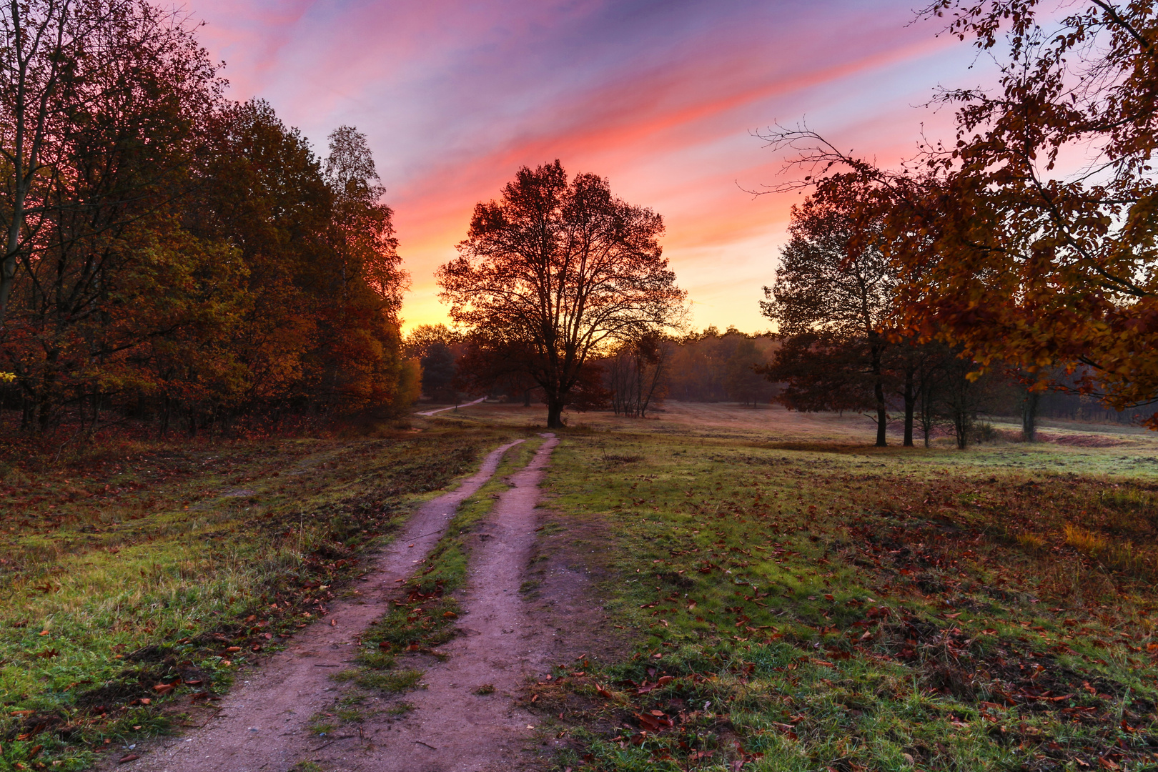 Morgendämmerung 