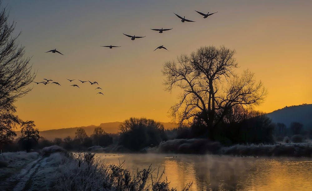 Morgendämmerung Morgendämmerung