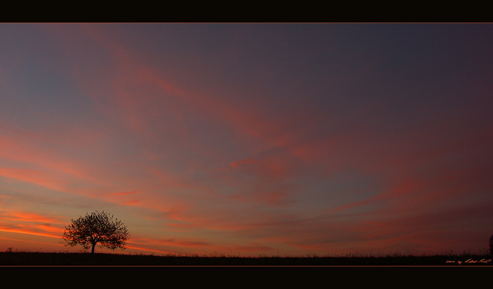 Morgendämmerung