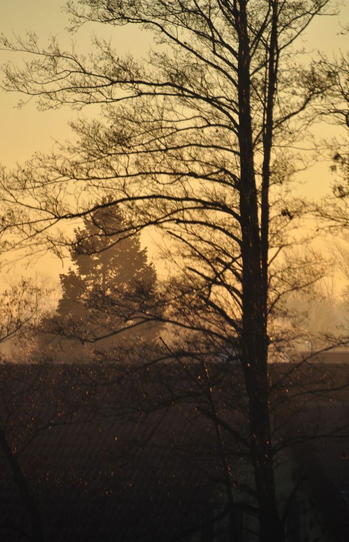 Morgendämmerung