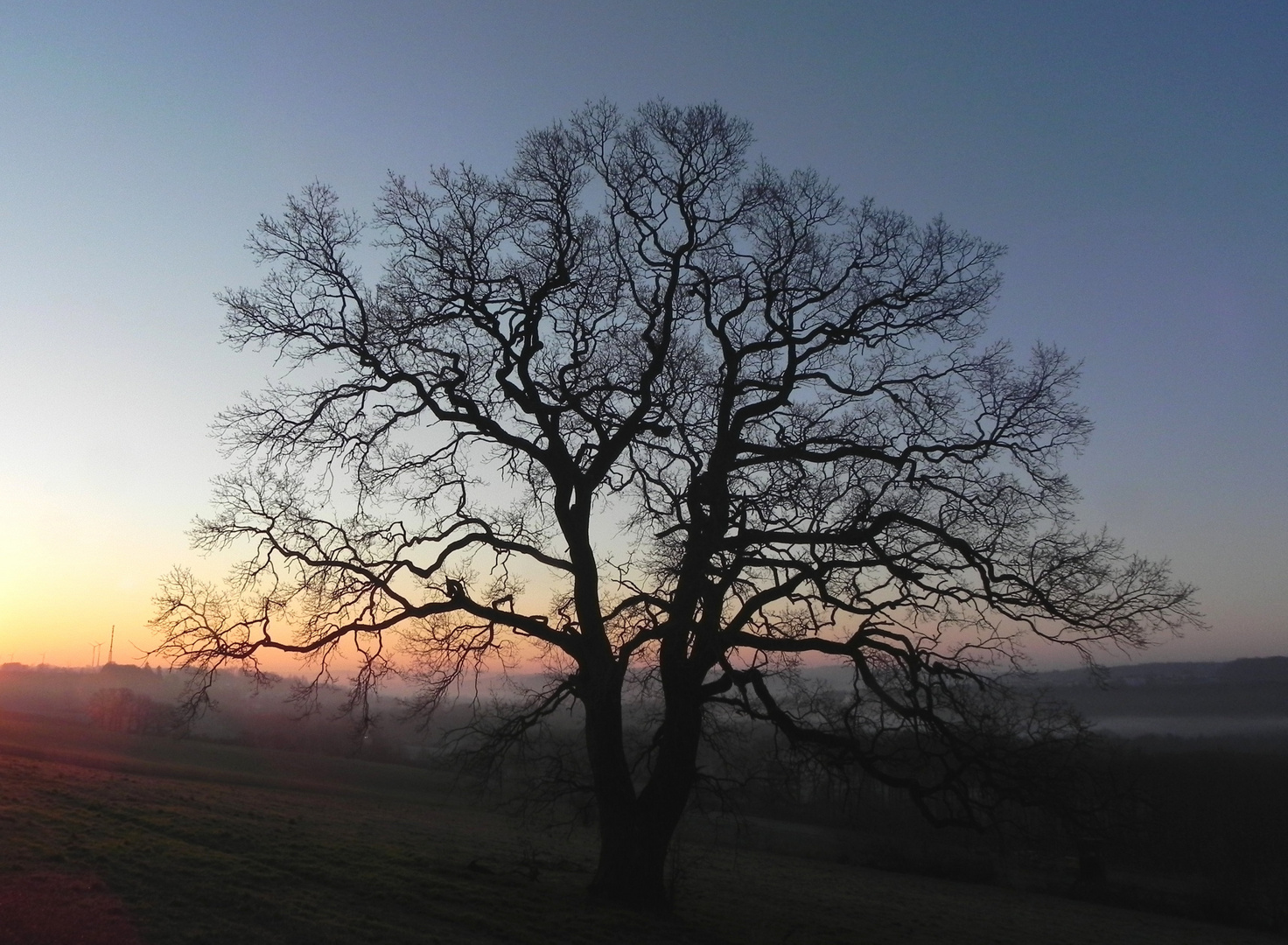 Morgendämmerung