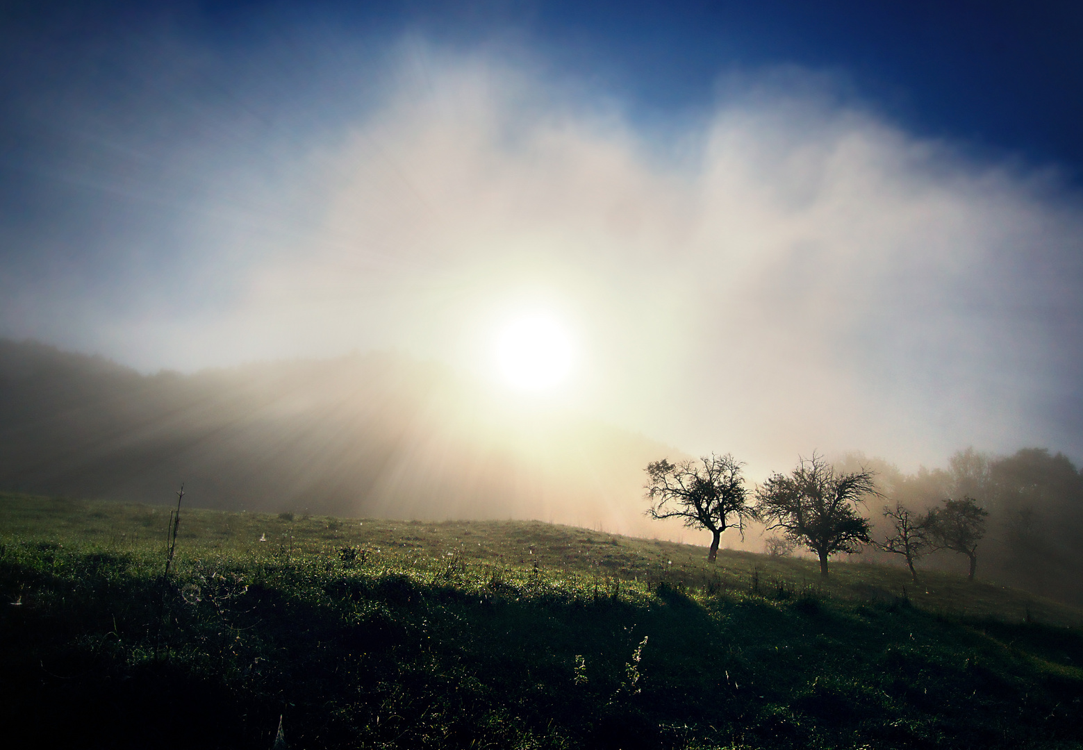 Morgendämmerung