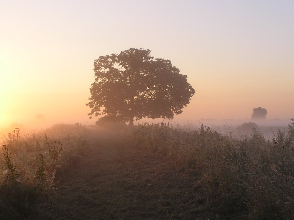 Morgendämmerung