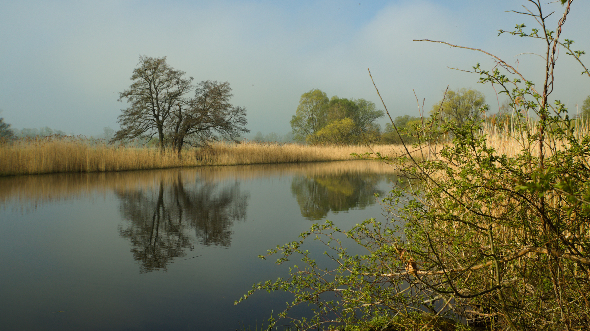 Morgendämmerung