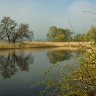 Morgendämmerung