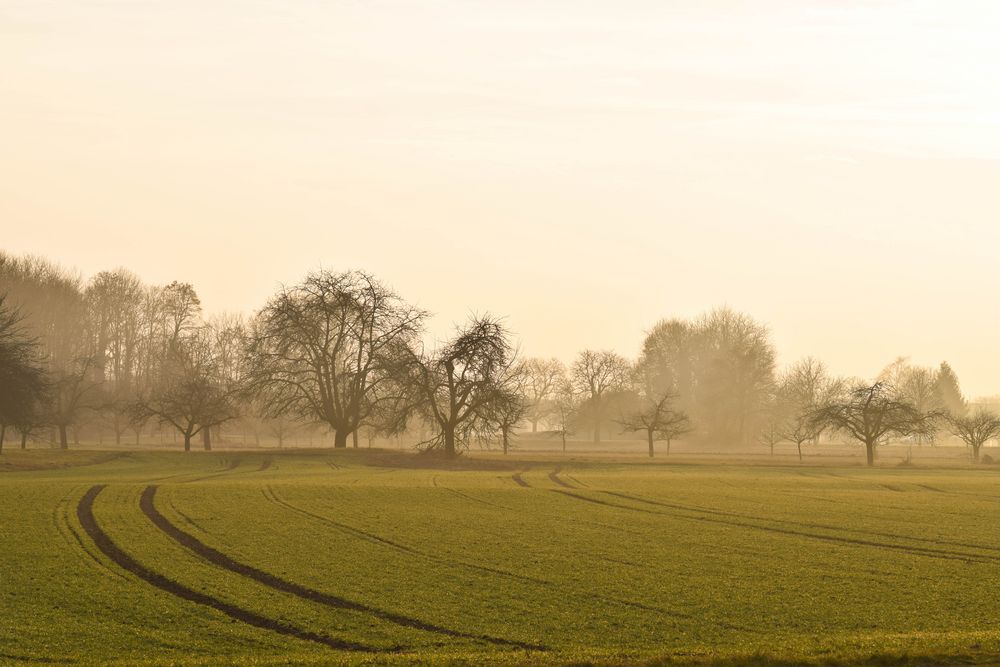 Morgendämmerung