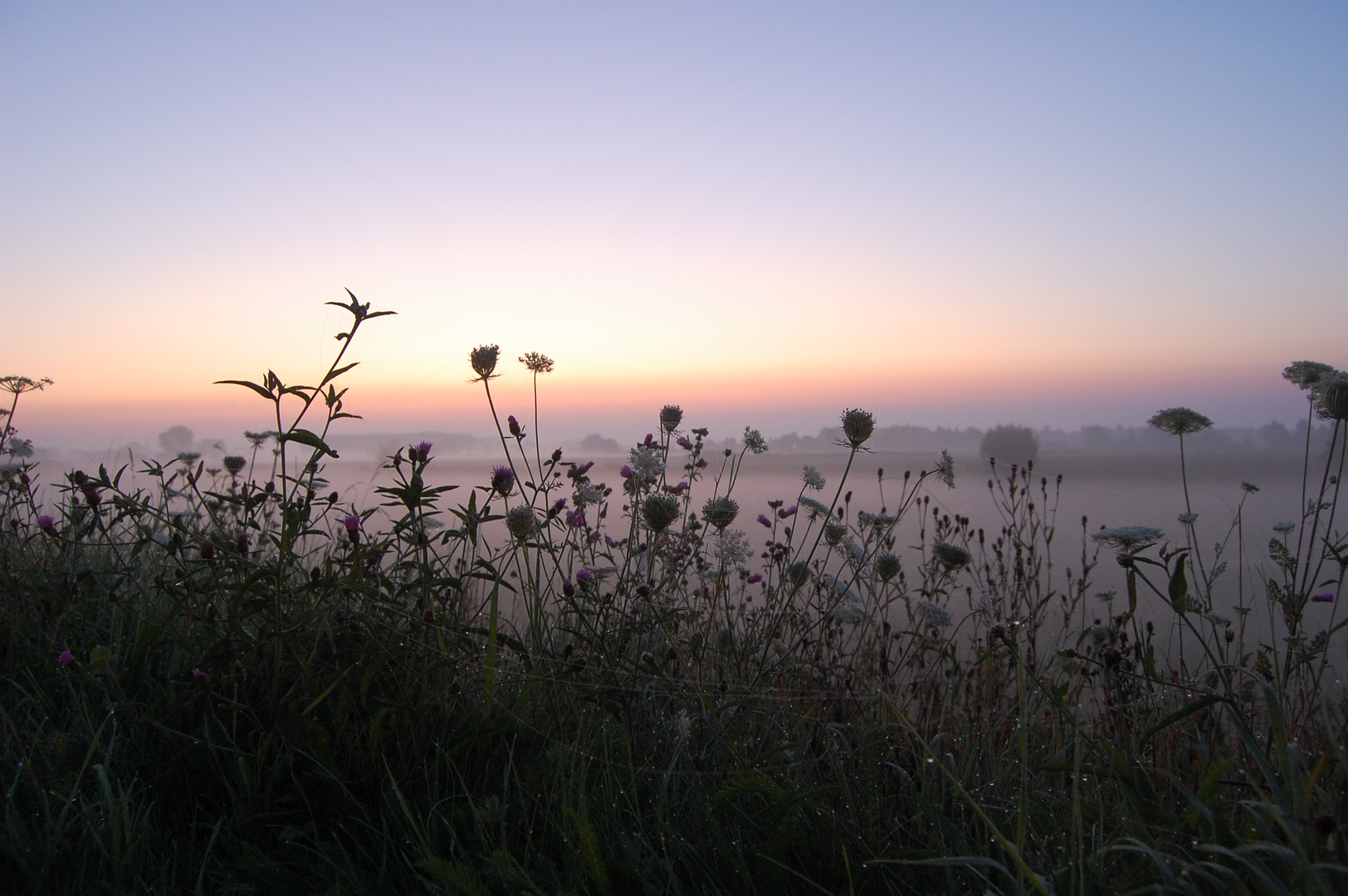 Morgendämmerung