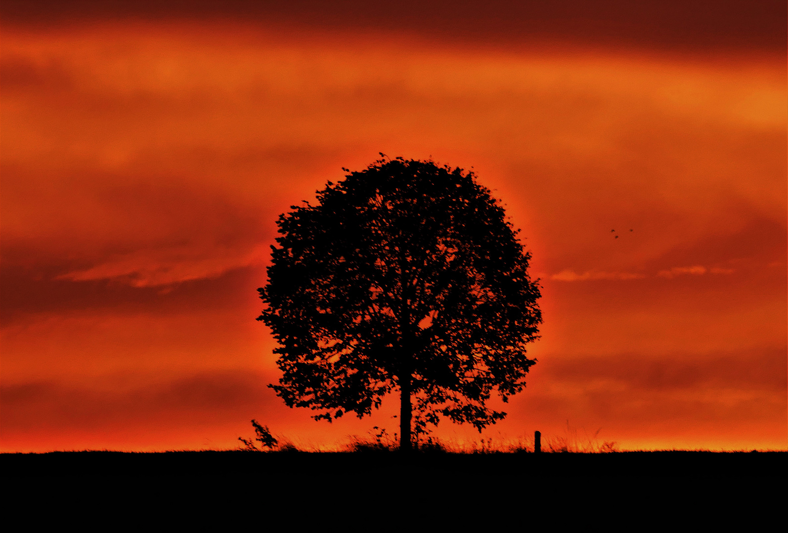 Morgendämmerung