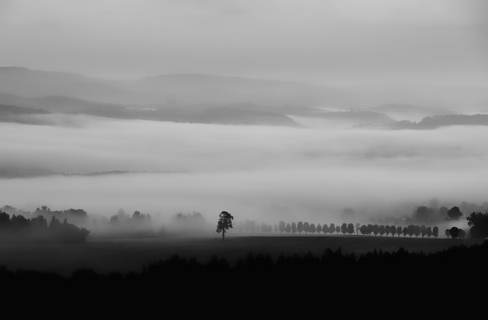 Morgendämmerung