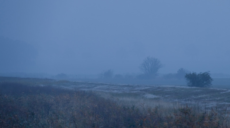 Morgendämmerung