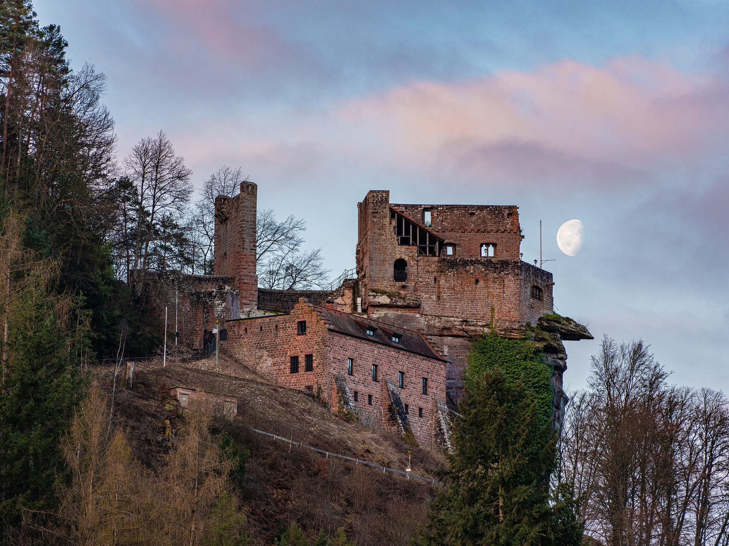 Morgendämmerung