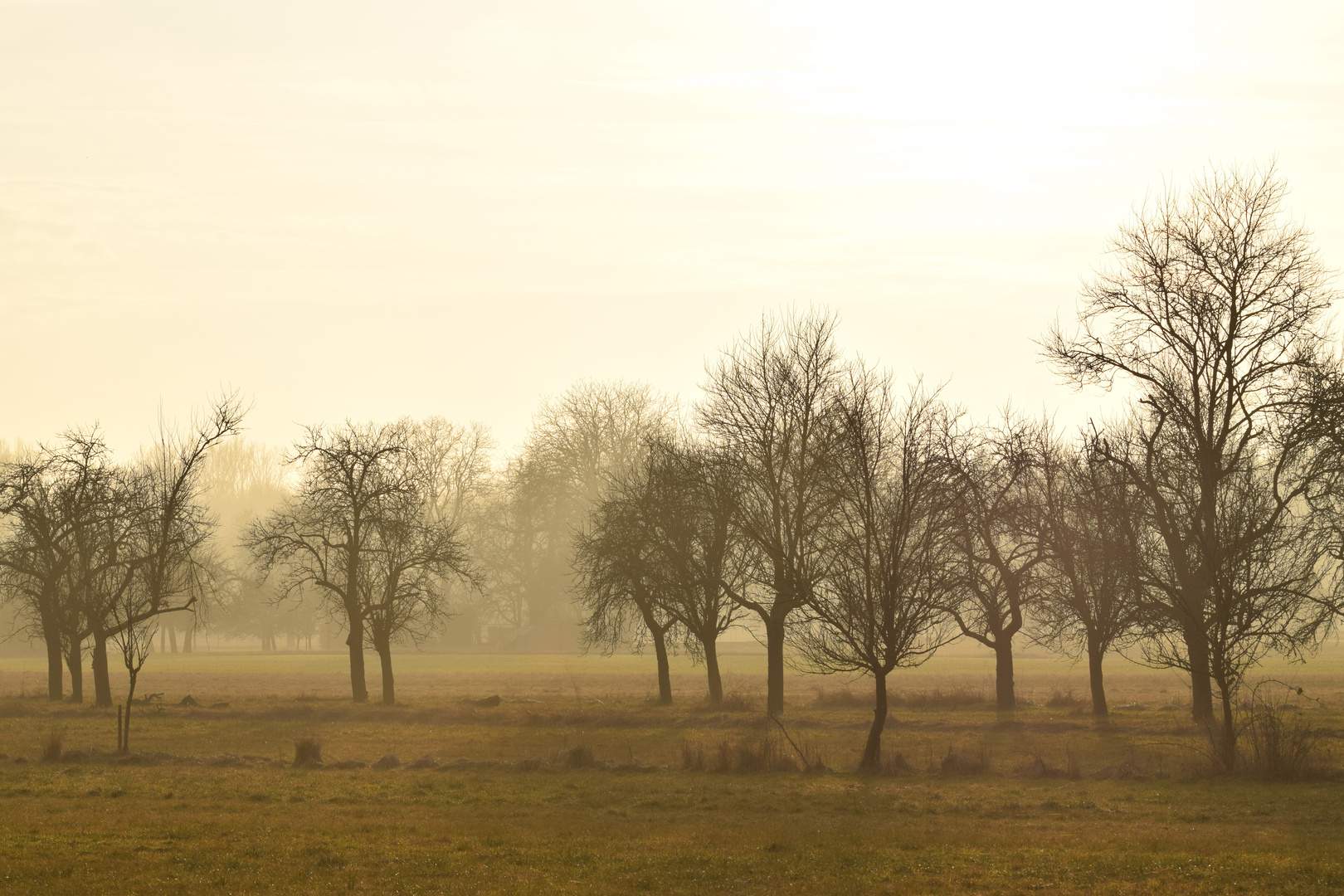 Morgendämmerung