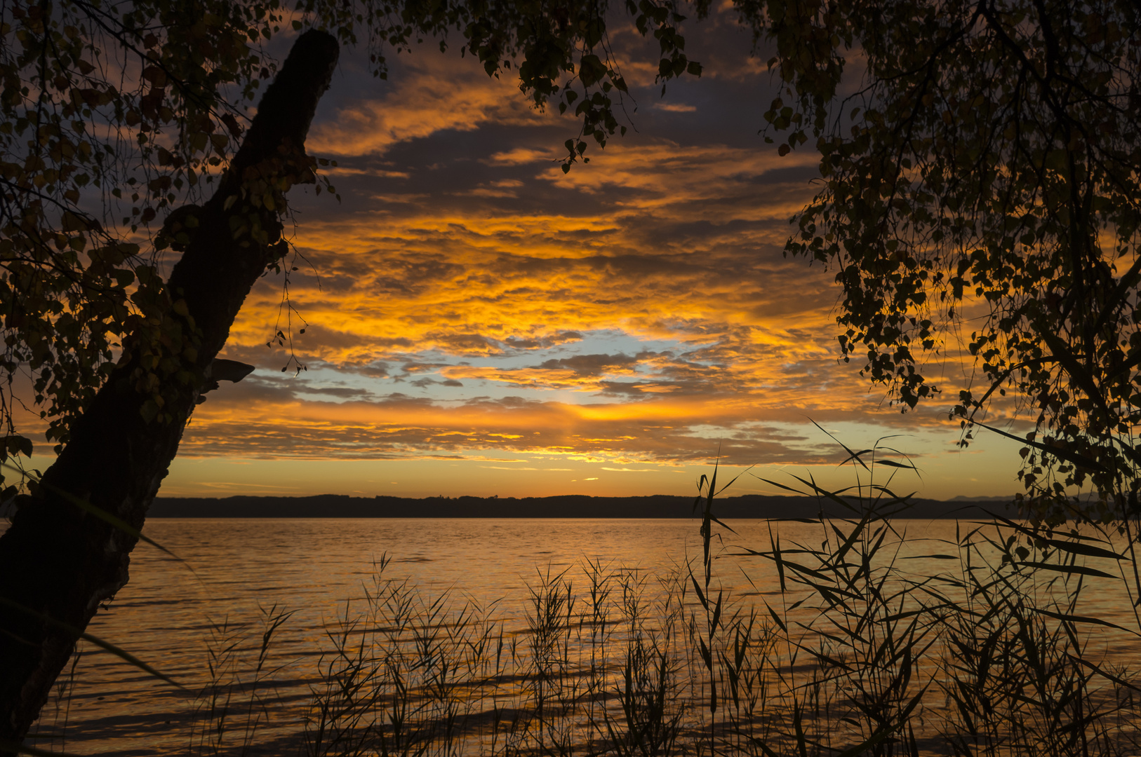 Morgendämmerung