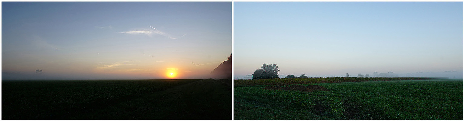 Morgendämmerung...