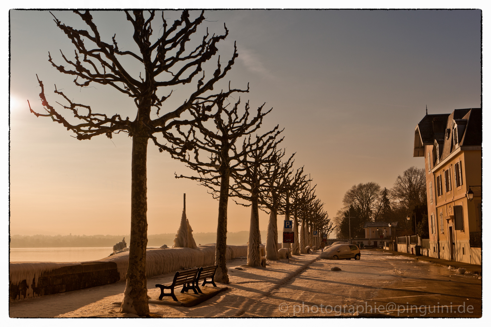 Morgendämmerung am Genfer See