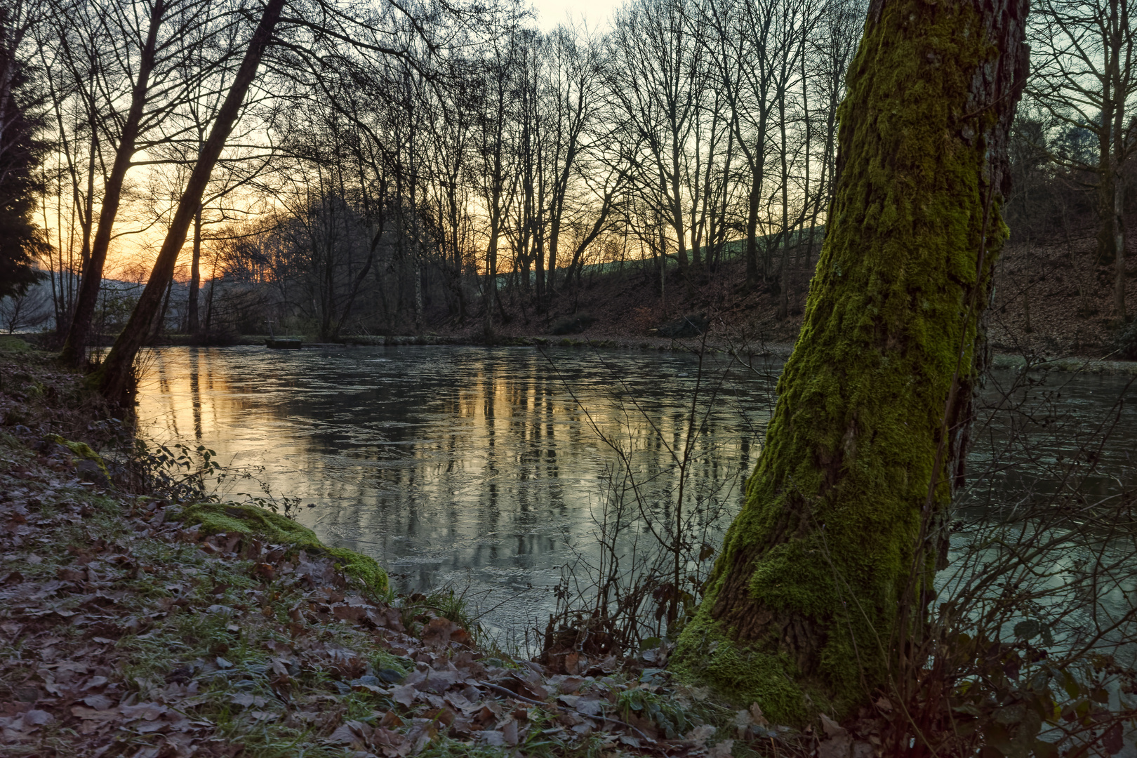 Morgendämmerung am Lasbachweiher