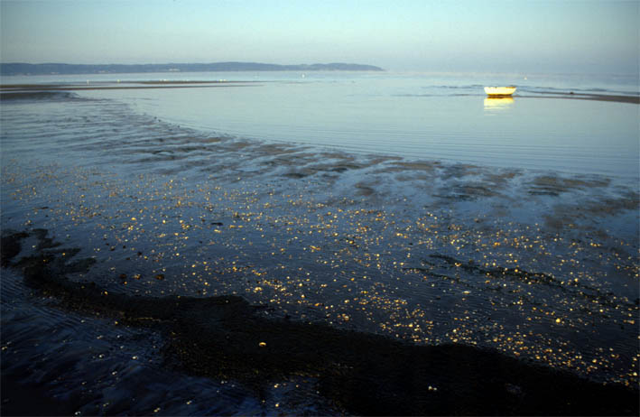 Morgendämmerung am Meer