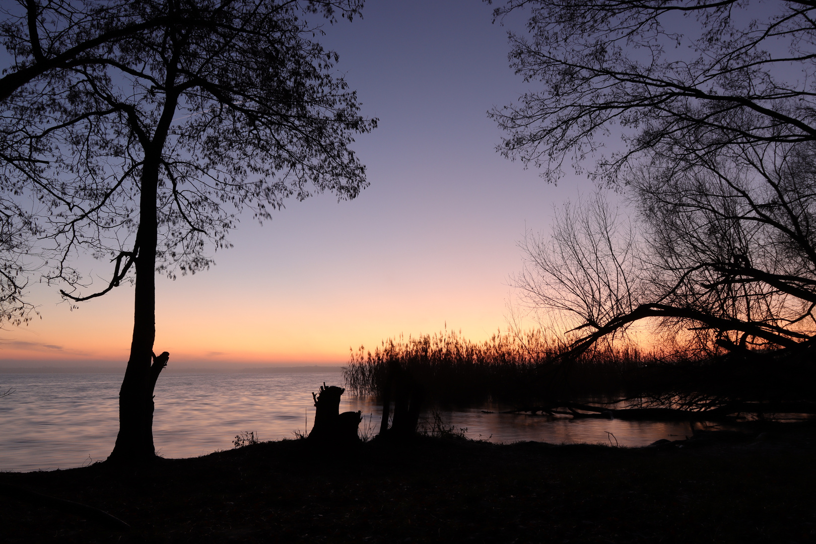 Morgendämmerung am Müggelsee