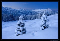 Morgendämmerung am Niederhorn