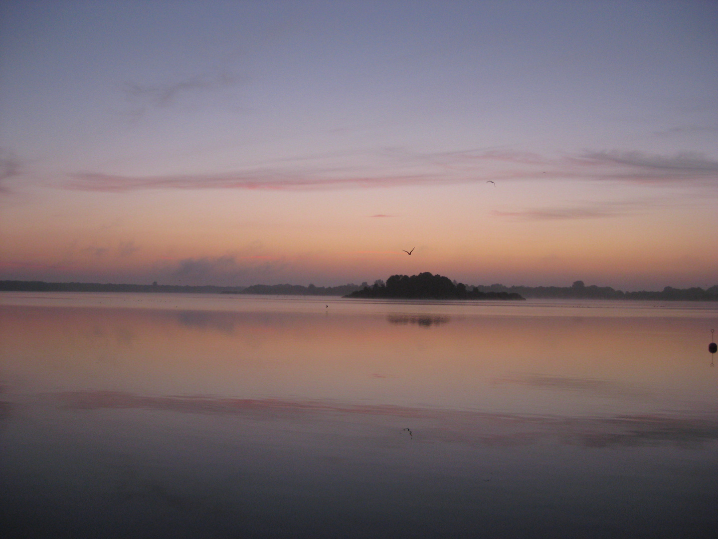 Morgendämmerung am Schaalsee