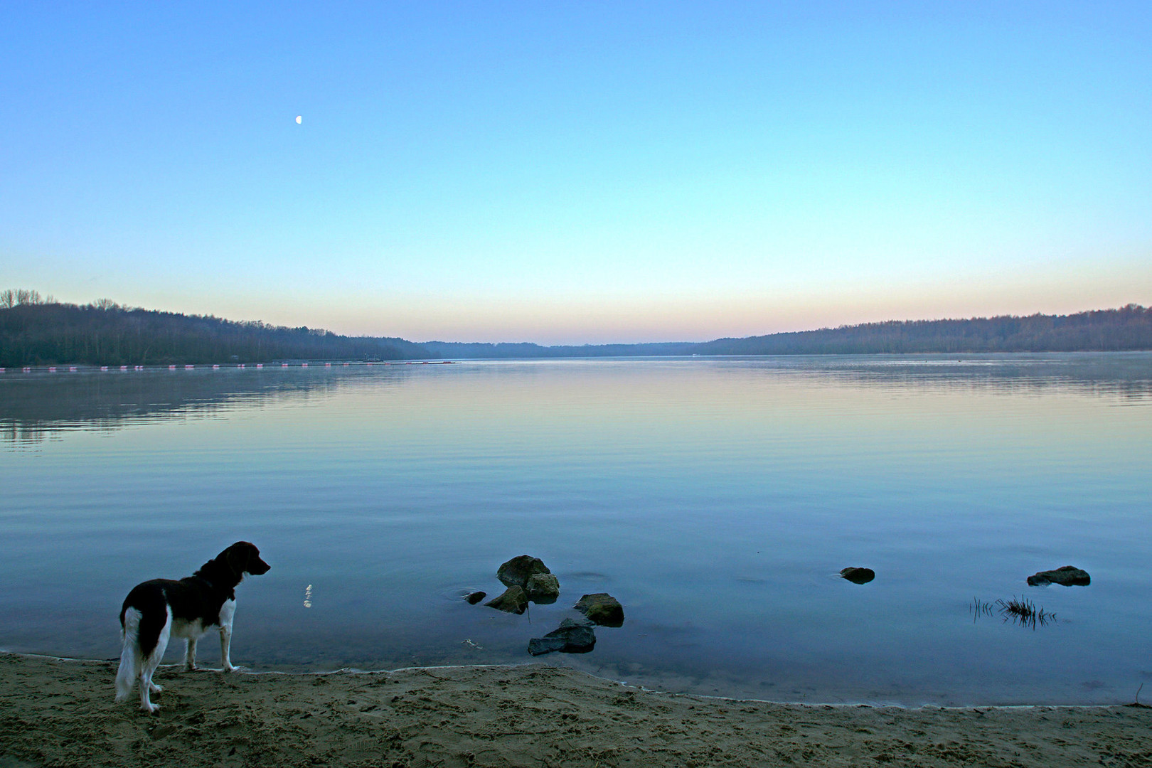 Morgendämmerung am Silbersee 3...